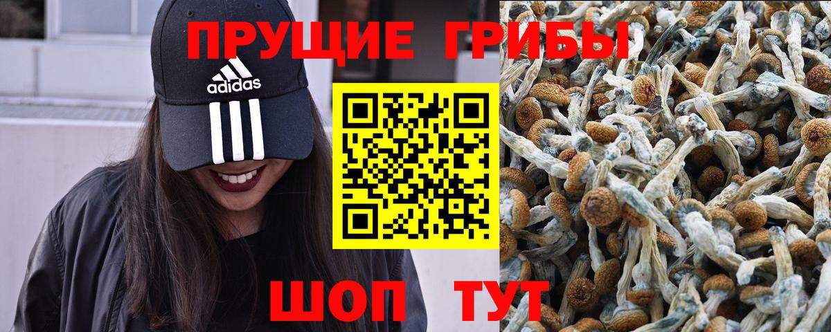 Назрань  Псилоцибиновые грибы Magic Shrooms  Вход с VPN 